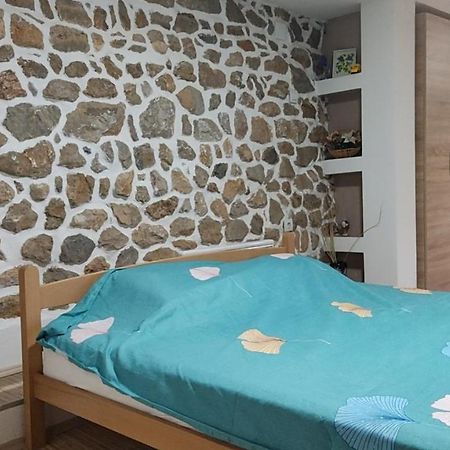 Guest House Stevovski Elshani ภายนอก รูปภาพ