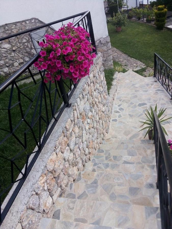 Guest House Stevovski Elshani ภายนอก รูปภาพ