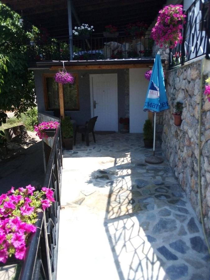 Guest House Stevovski Elshani ภายนอก รูปภาพ