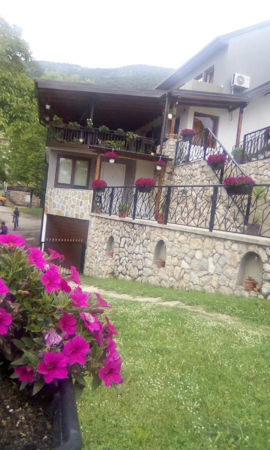 Guest House Stevovski Elshani ภายนอก รูปภาพ