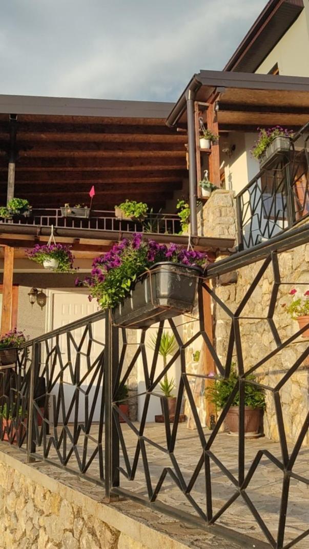 Guest House Stevovski Elshani ภายนอก รูปภาพ