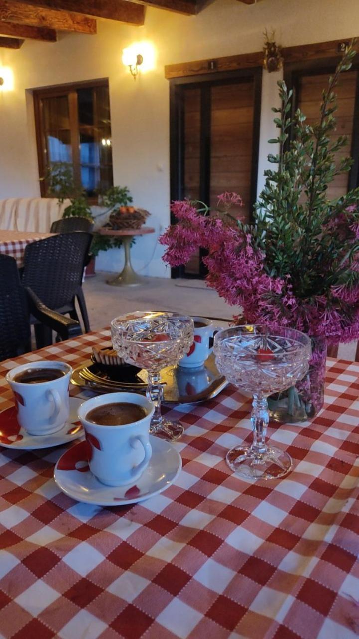 Guest House Stevovski Elshani ภายนอก รูปภาพ
