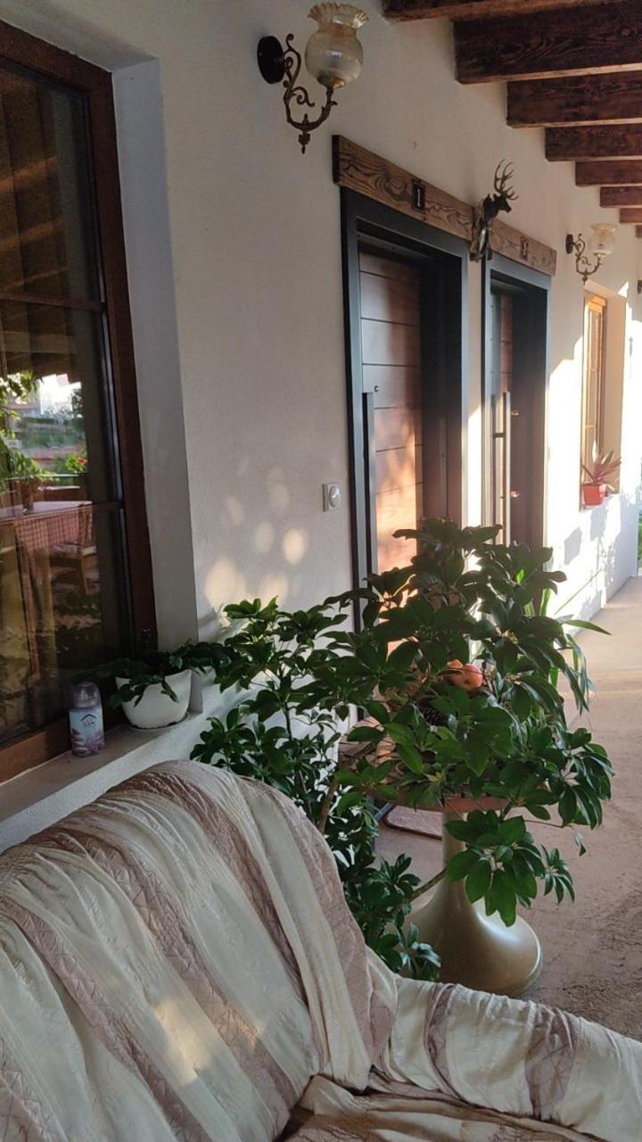 Guest House Stevovski Elshani ภายนอก รูปภาพ